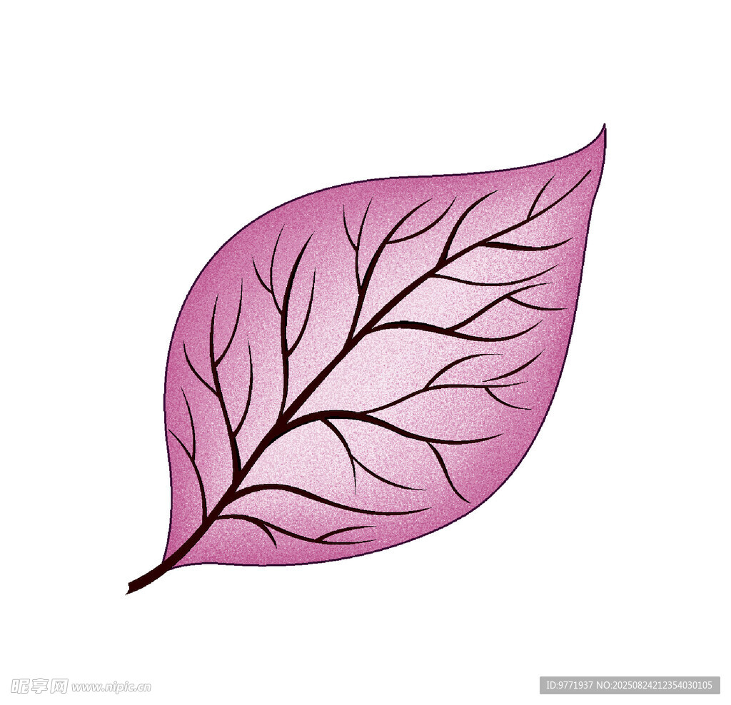 紫色葉脈葉片插畫