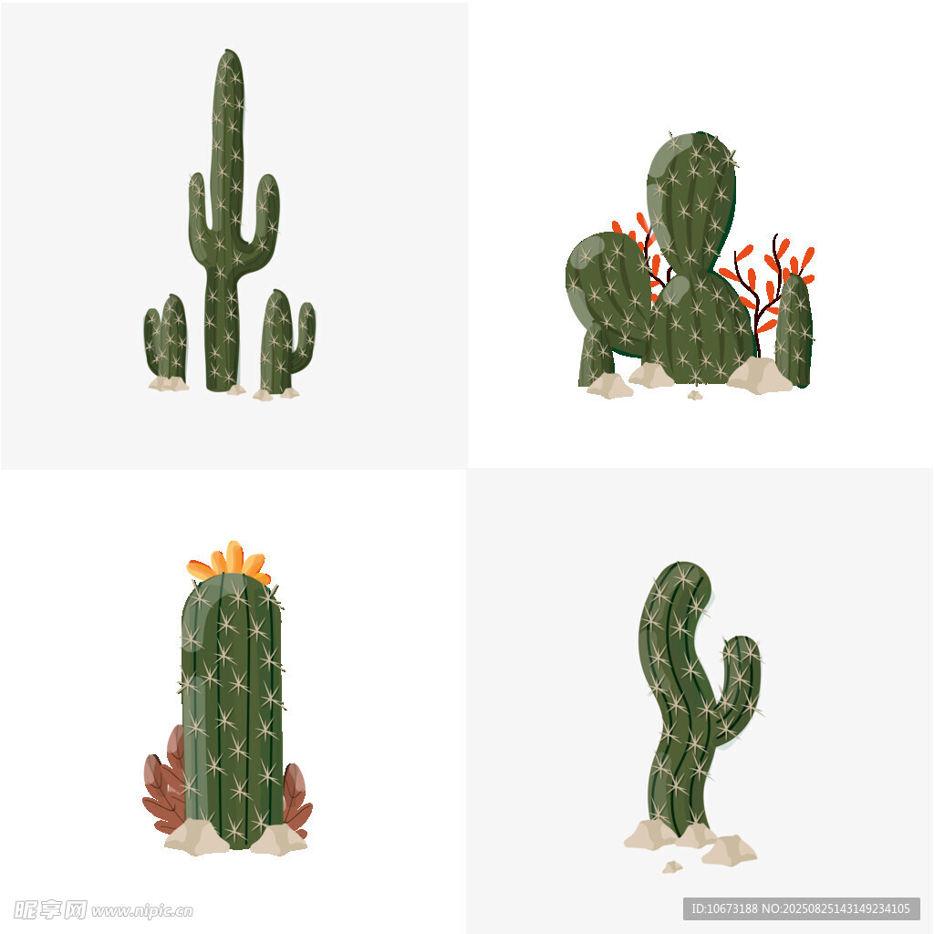 多樣仙人掌插畫集合
