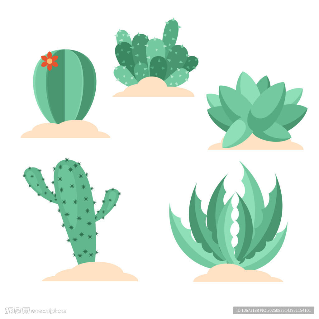 多樣仙人掌與多肉植物集合