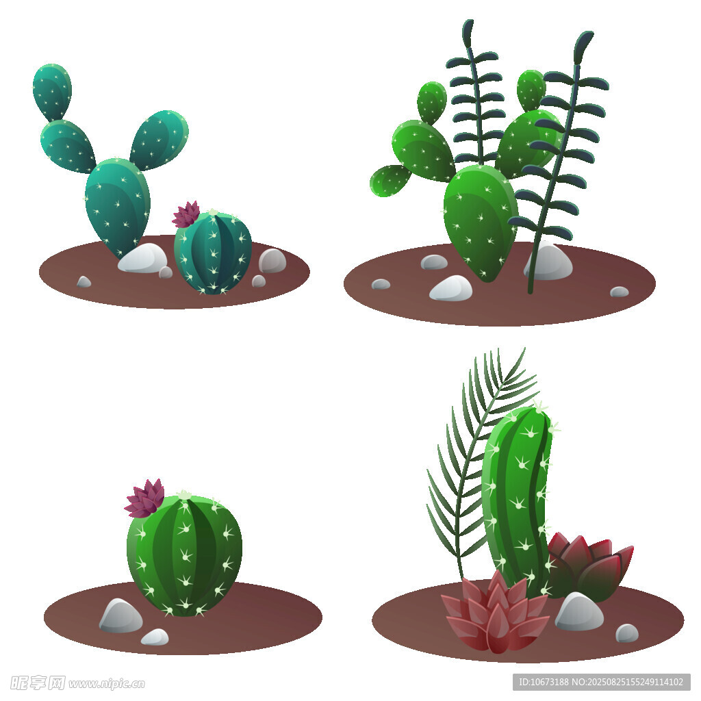 多樣仙人掌植物插畫