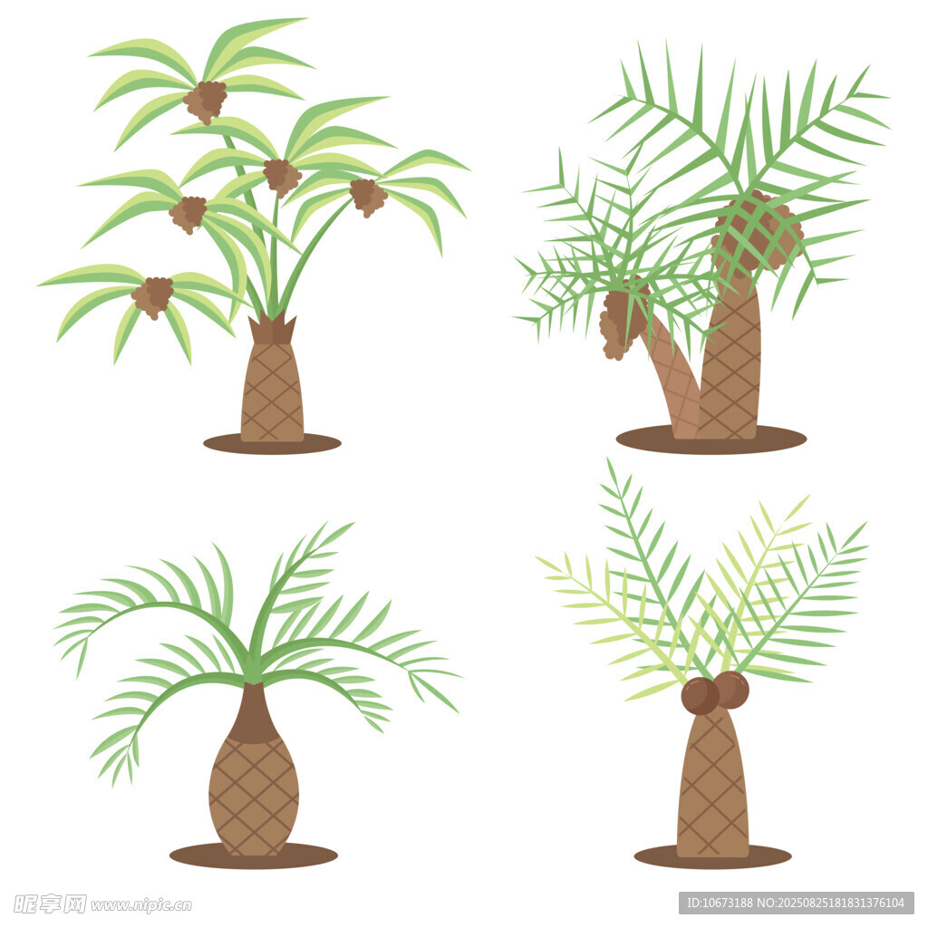 四種造型的棕櫚植物插畫