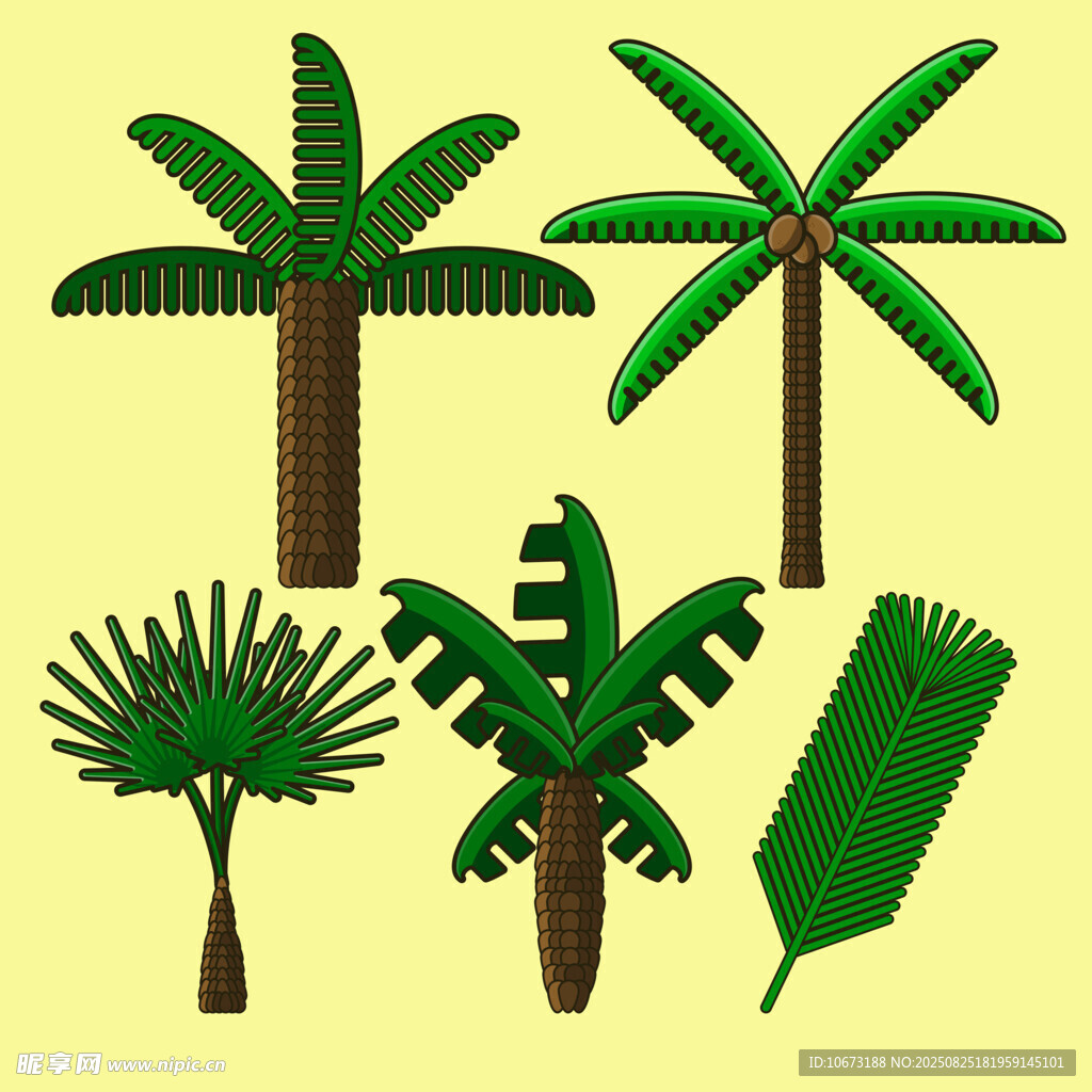 熱帶棕櫚植物矢量素材