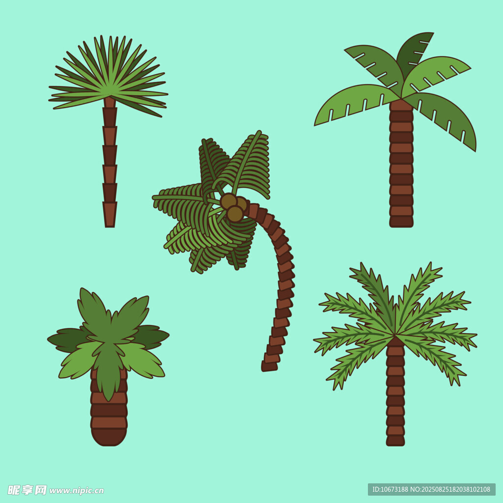 多樣棕櫚樹插畫