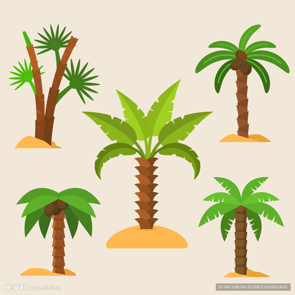 多樣棕櫚樹矢量插畫