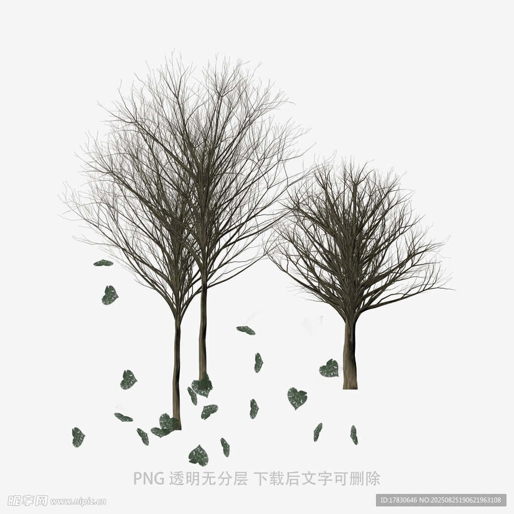 樹木