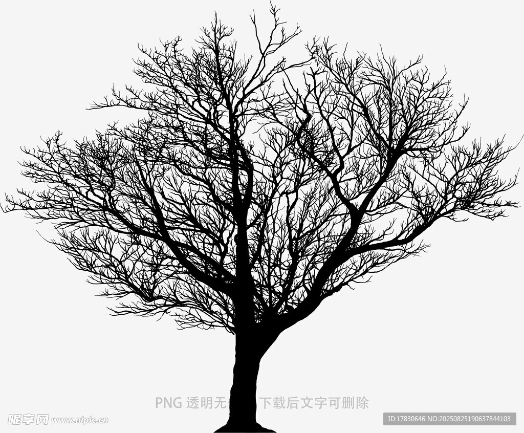 樹木