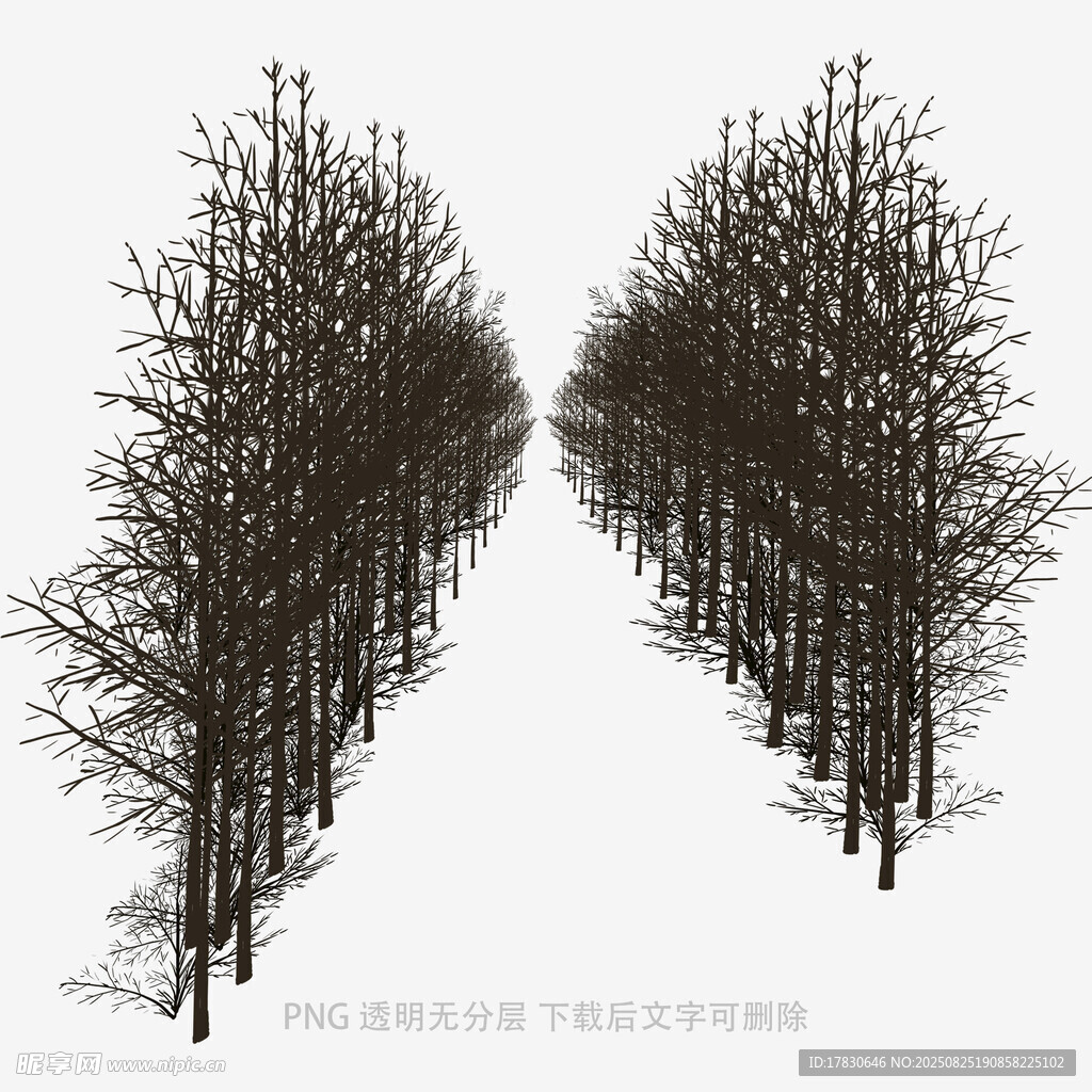 樹木