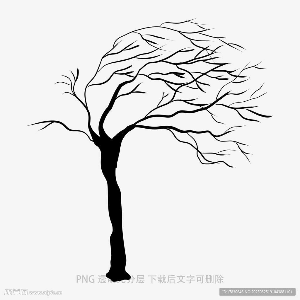 樹木