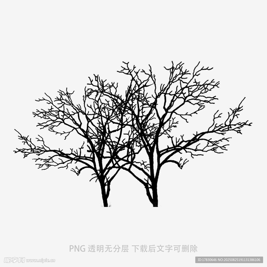 兩棵枯樹的簡潔黑白圖像