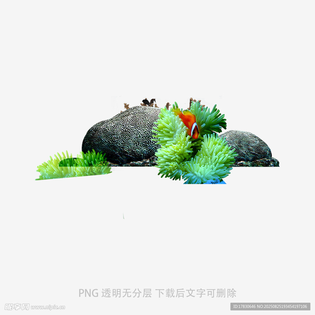 石頭