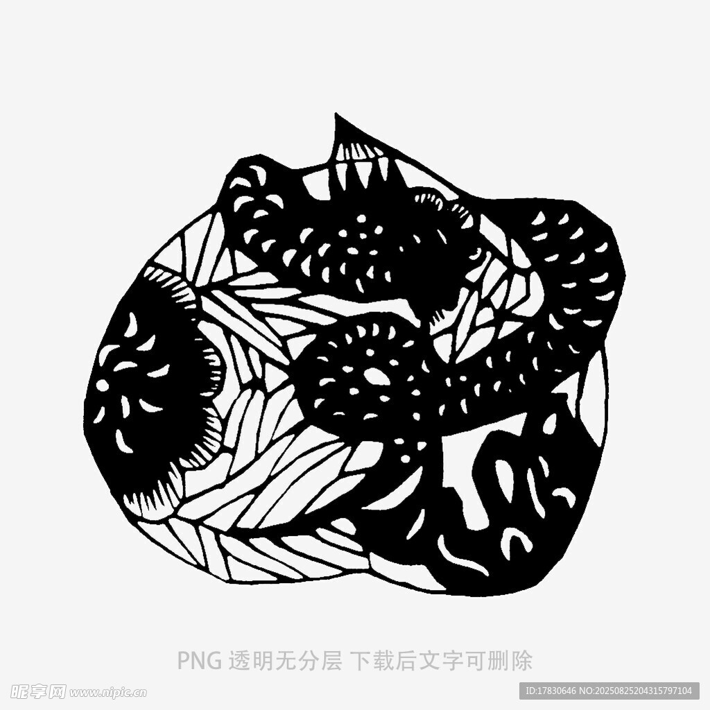 黑白貓咪與植物圖案插畫