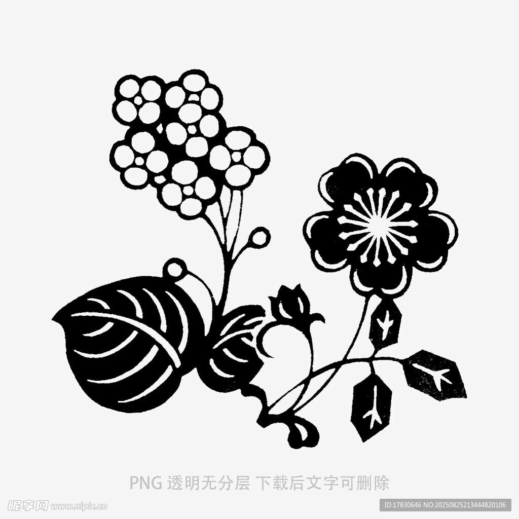 黑白花卉植物剪影圖案