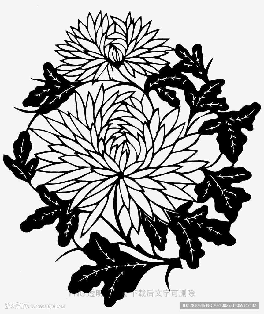黑白菊花圖案