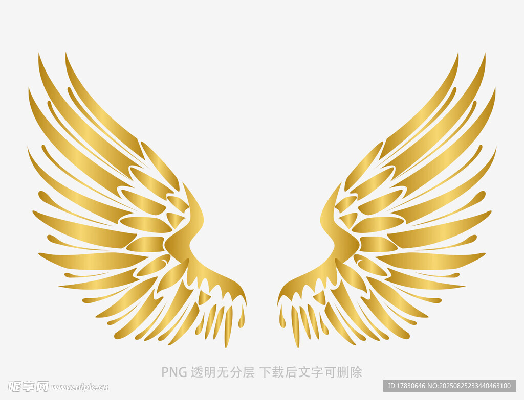 金色華麗翅膀圖案設(shè)計(jì)