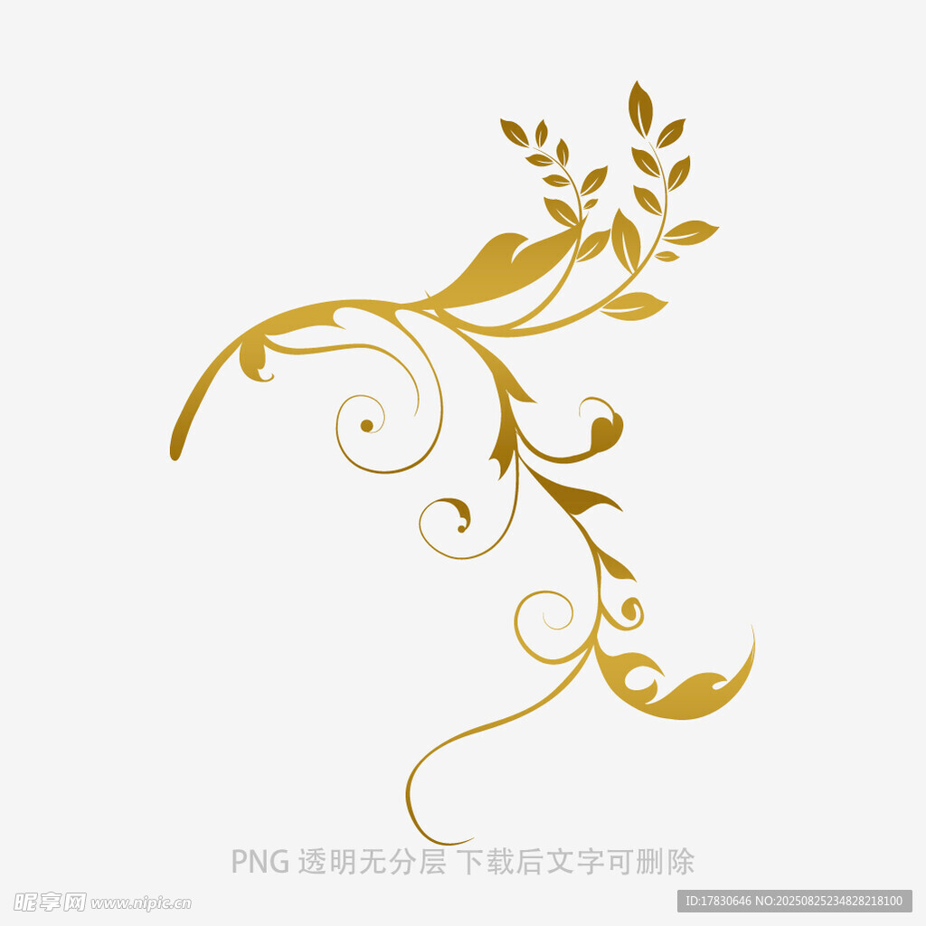金色藤蔓花紋裝飾圖案