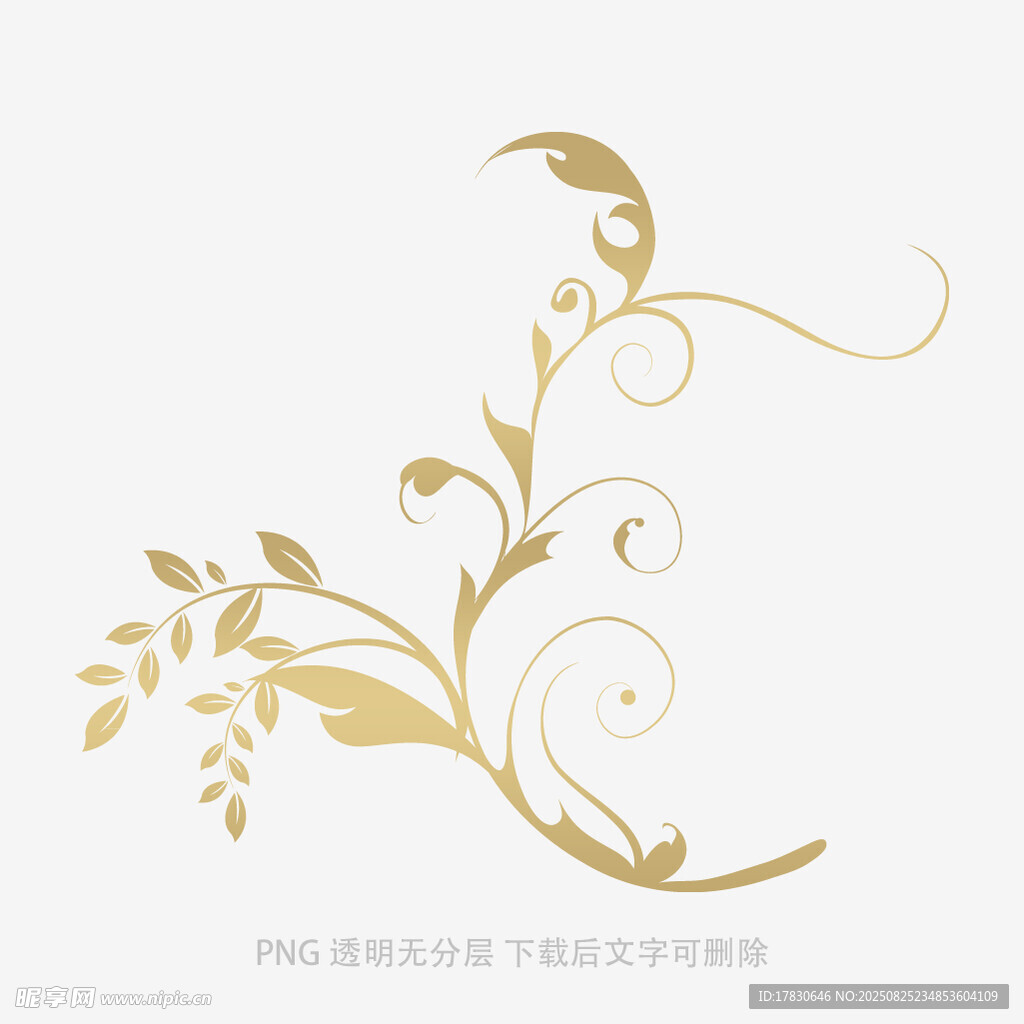 金色藤蔓花紋裝飾圖案