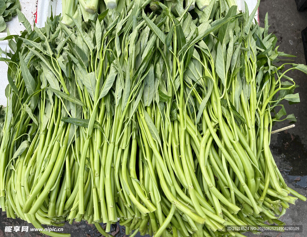 通心菜