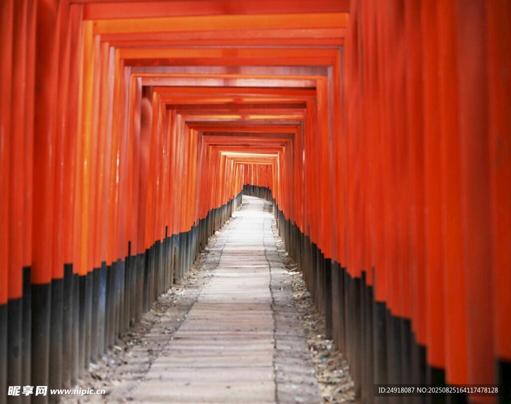 紅色鳥居通道 神秘日式風(fēng)景