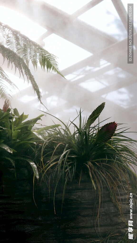 室內(nèi)綠植沐浴陽光景象