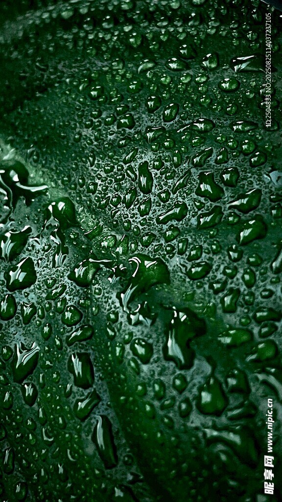 綠葉上晶瑩的水珠