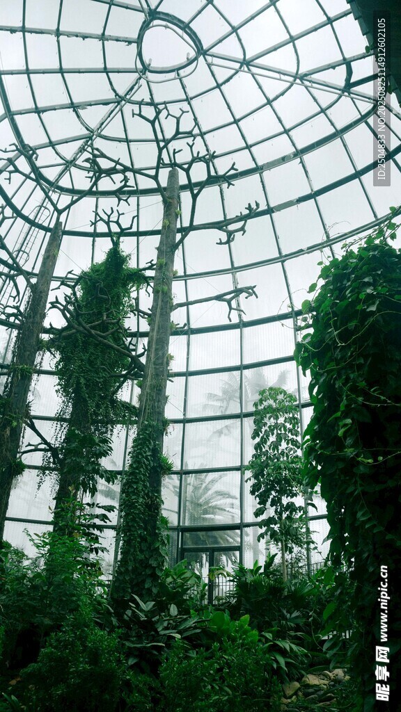 溫室中的繁茂綠植景觀
