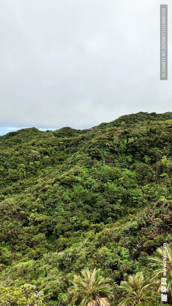 翠綠山巒 盡顯自然生機(jī)