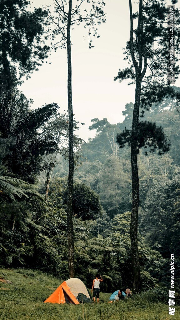 森林中露營的溫馨場景