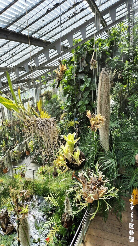 溫室中的多樣植物景觀