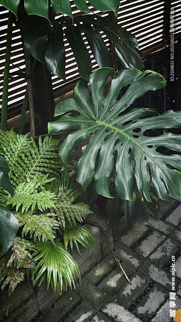 庭院綠植景觀一角