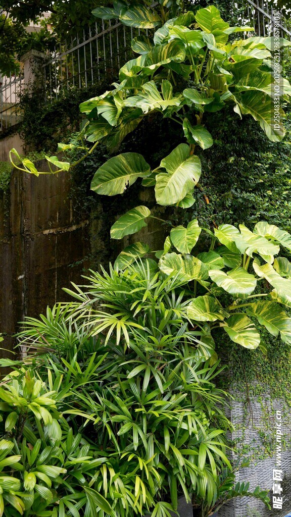 綠意盎然的室內(nèi)植物景觀
