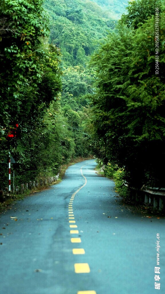 林間蜿蜒公路 綠意盎然