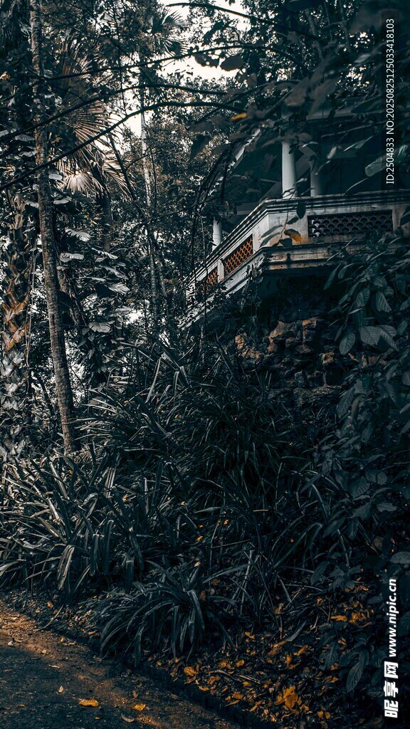山林間的小屋