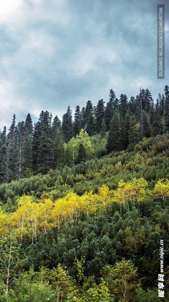 山間黃綠植被與云景