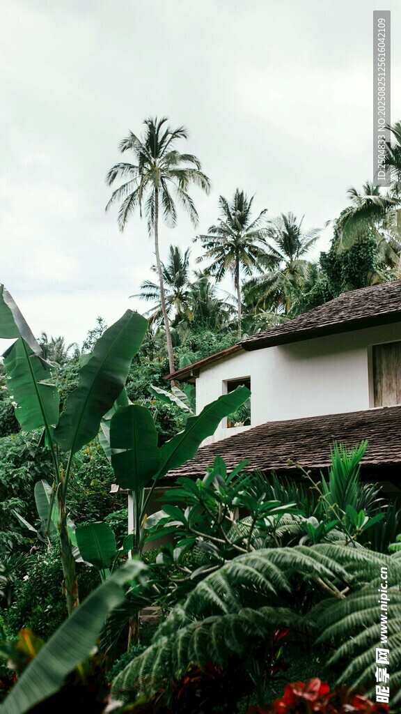 熱帶綠植環(huán)繞的小屋