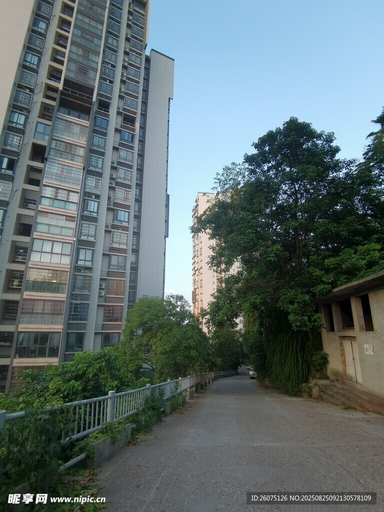 高樓旁的幽靜小路