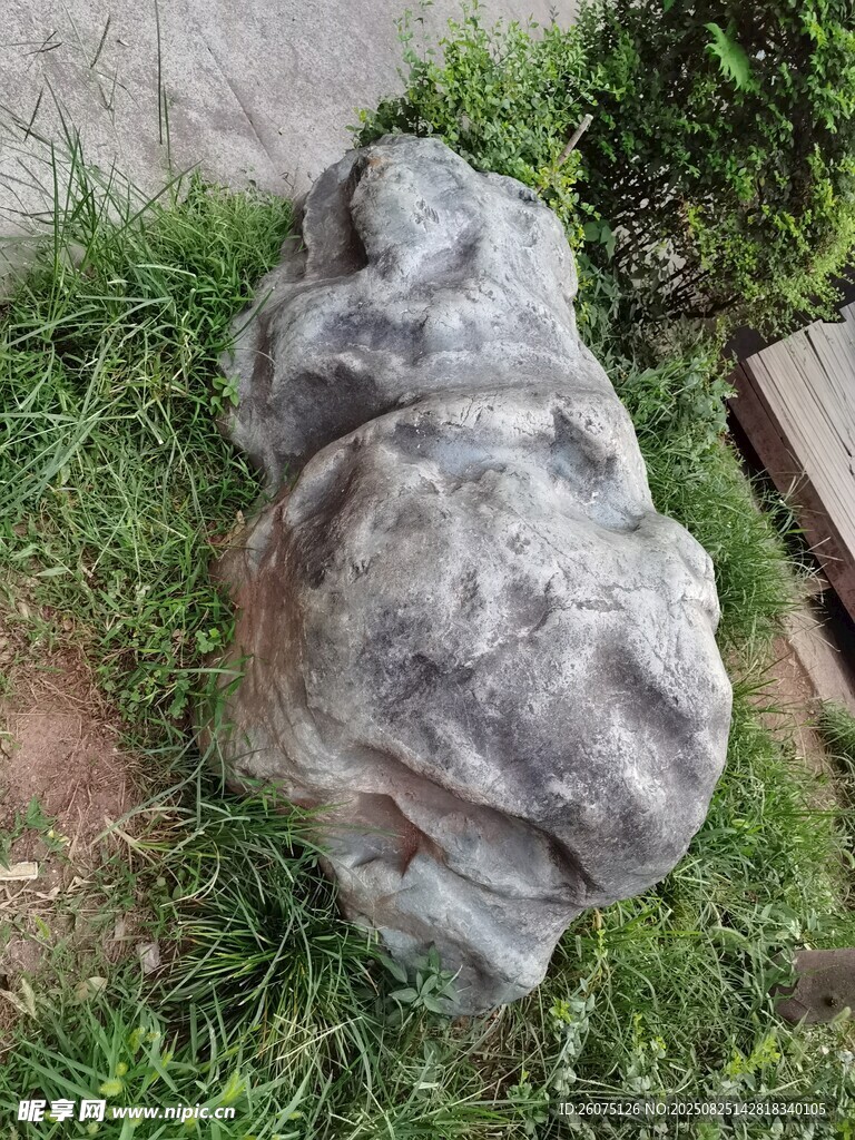 草地上的奇特灰色景觀石