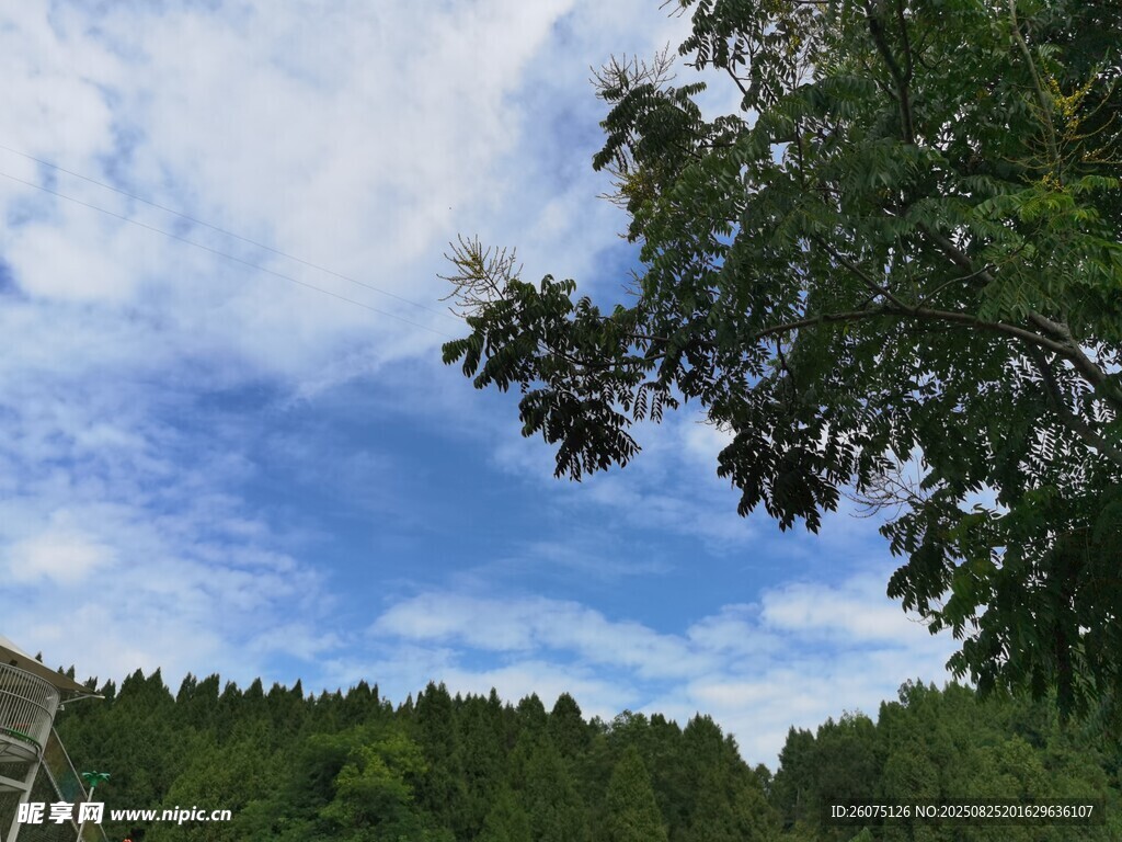 山林藍(lán)天綠樹美景