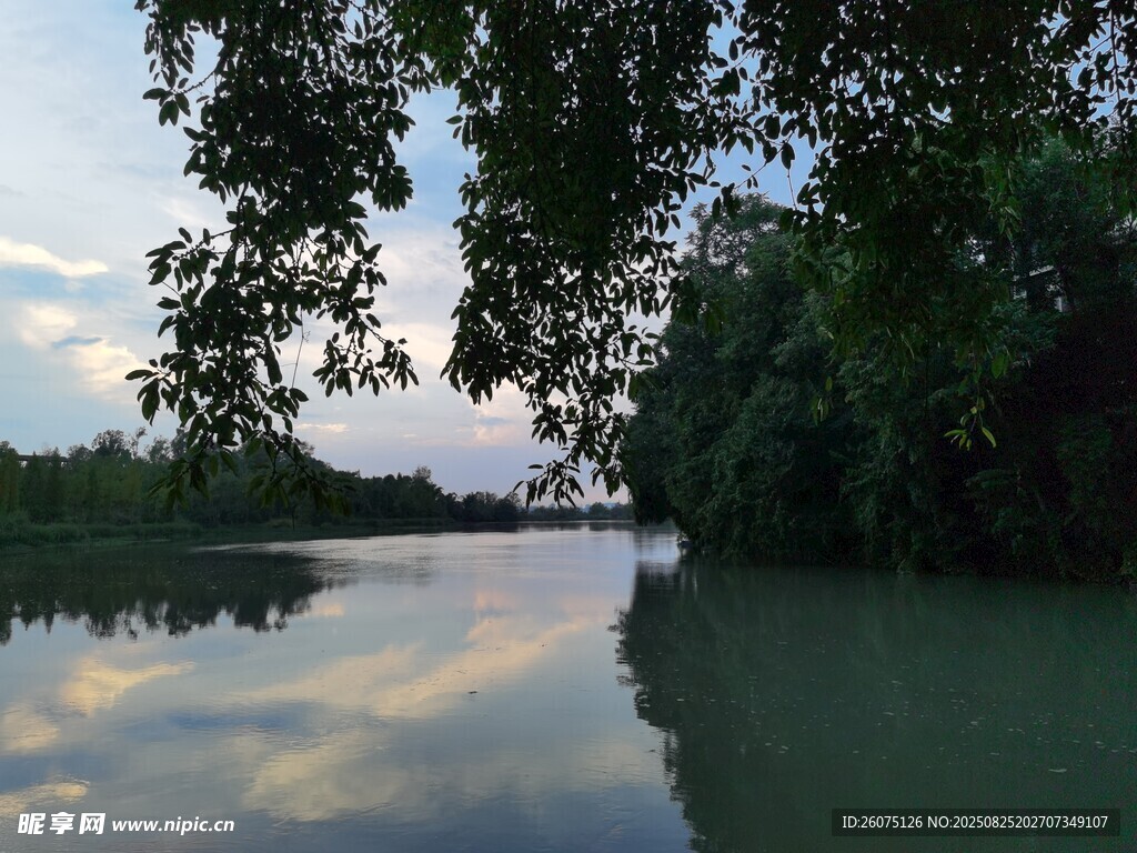 綠蔭下的寧靜河畔與水面倒影