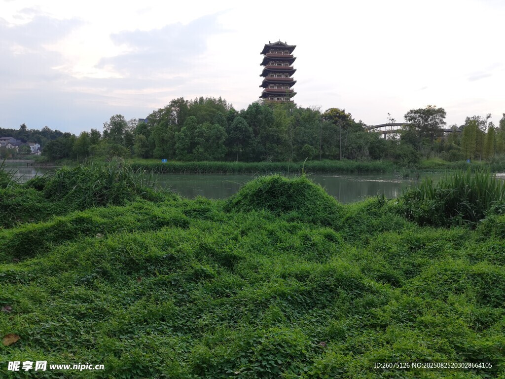 古塔旁的蔥郁綠植景觀