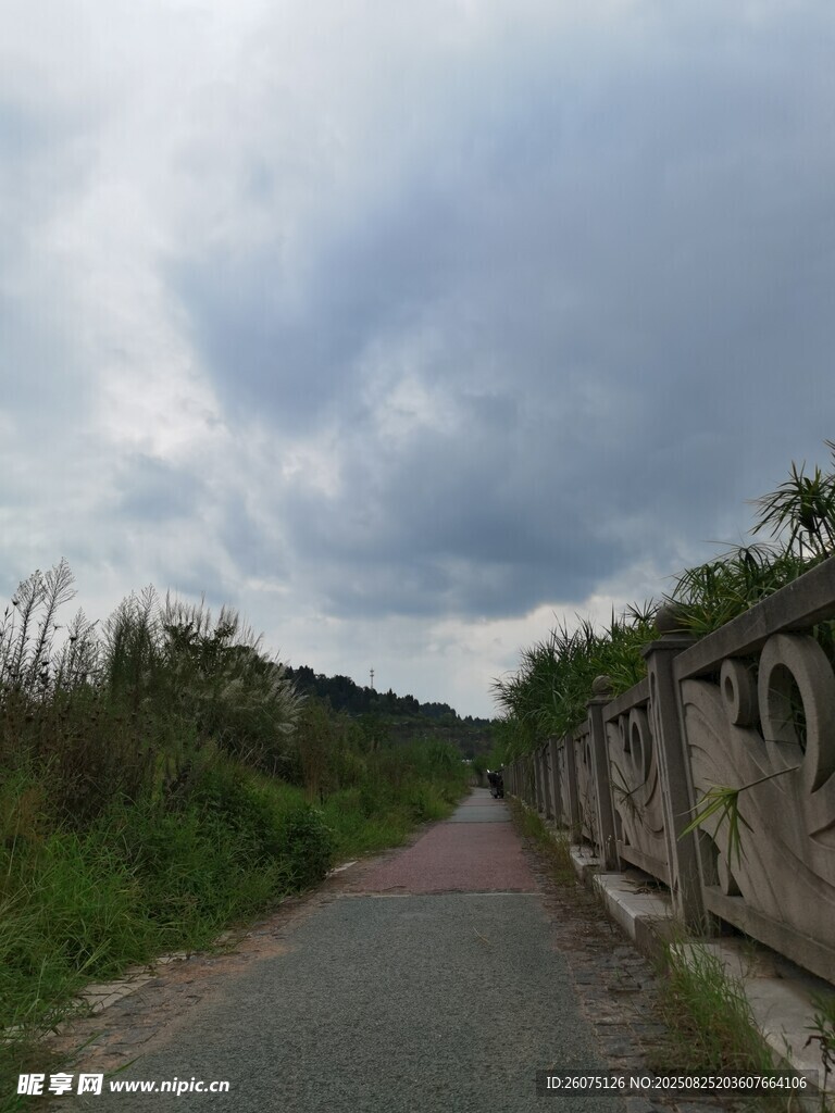 陰天下的河畔步道風光