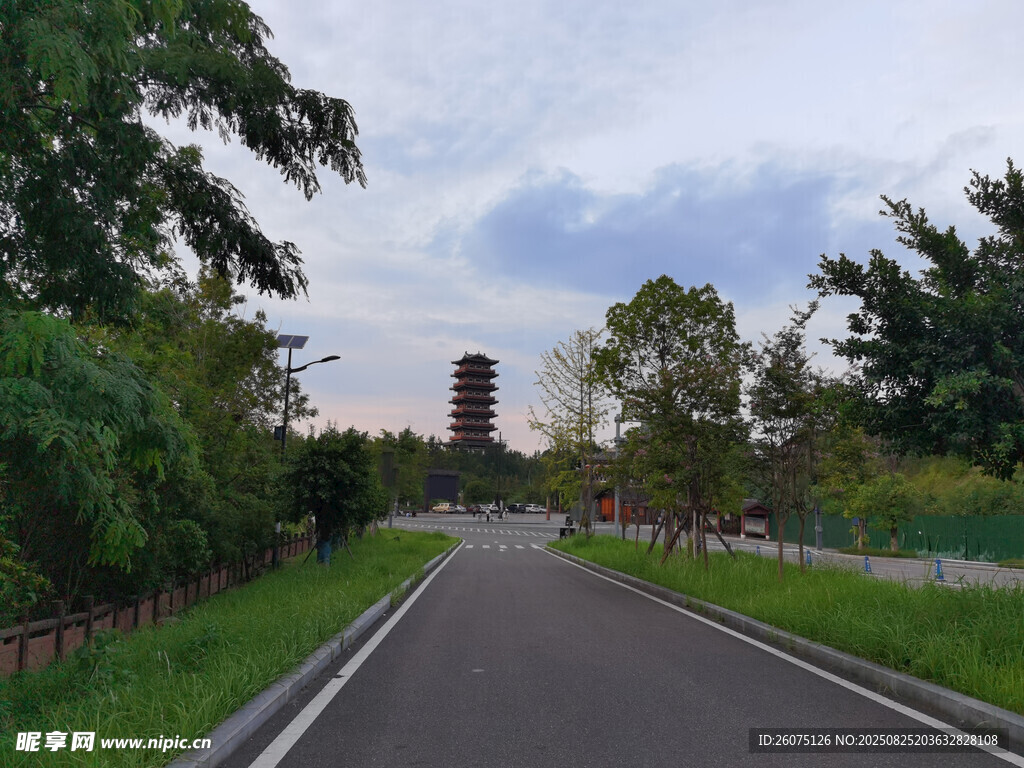 郊外公路旁的蔥郁綠植