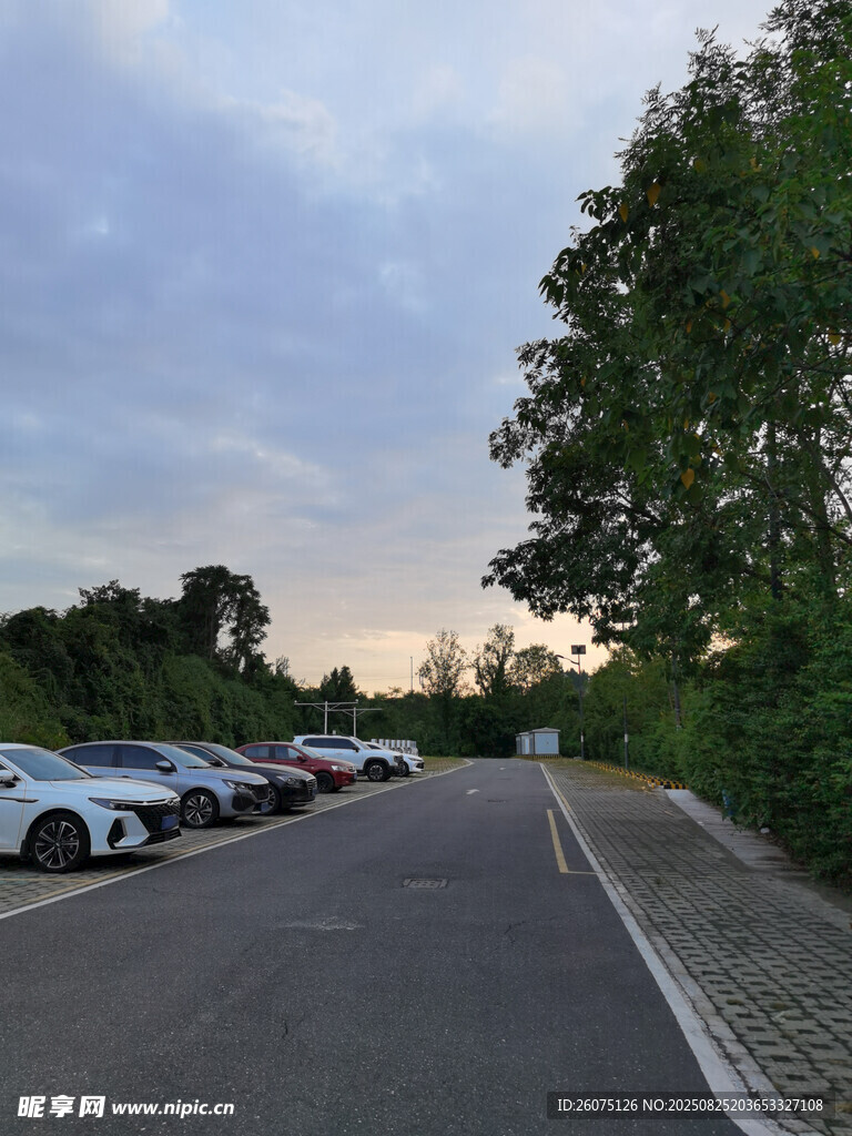 路邊停車場(chǎng)景綠樹相伴