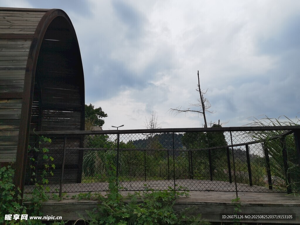 戶外木質(zhì)觀景臺與綠植