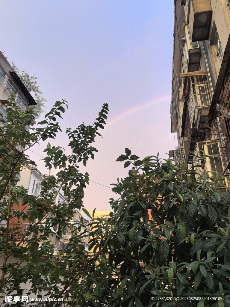 黃昏下的樓與繁茂綠植