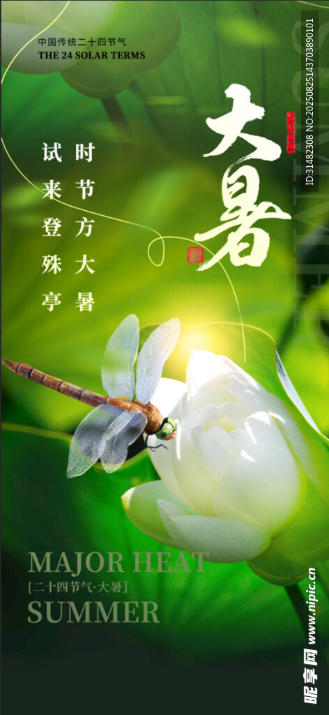 大暑時節(jié)荷花與蜻蜓圖