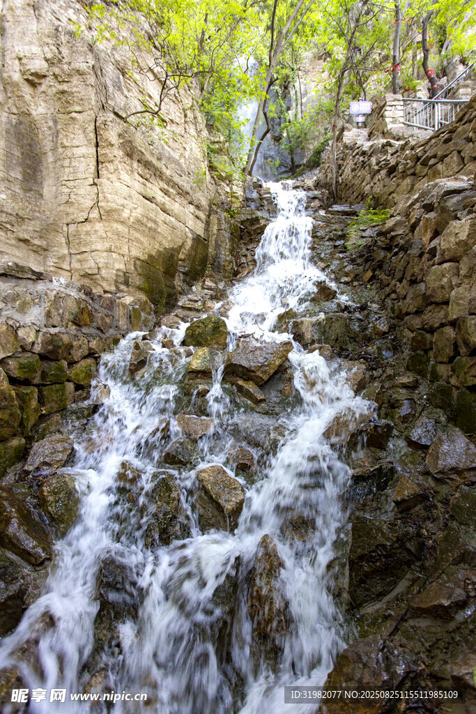 臘山國家森林公園