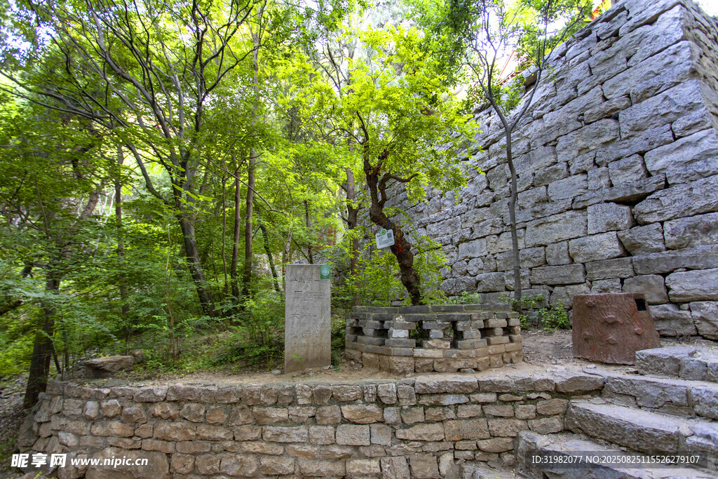 臘山國家森林公園 