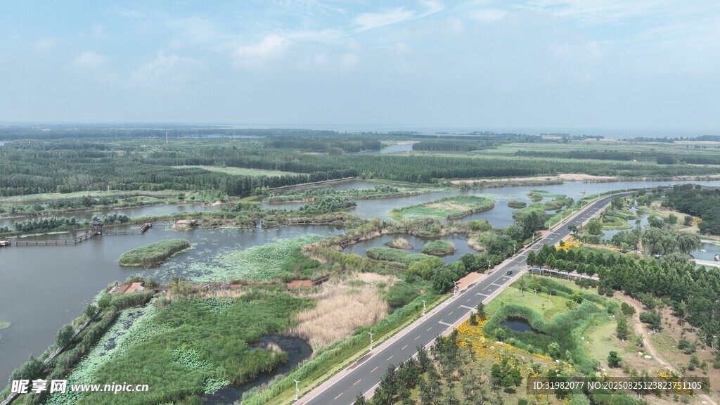 濱湖國家濕地公園