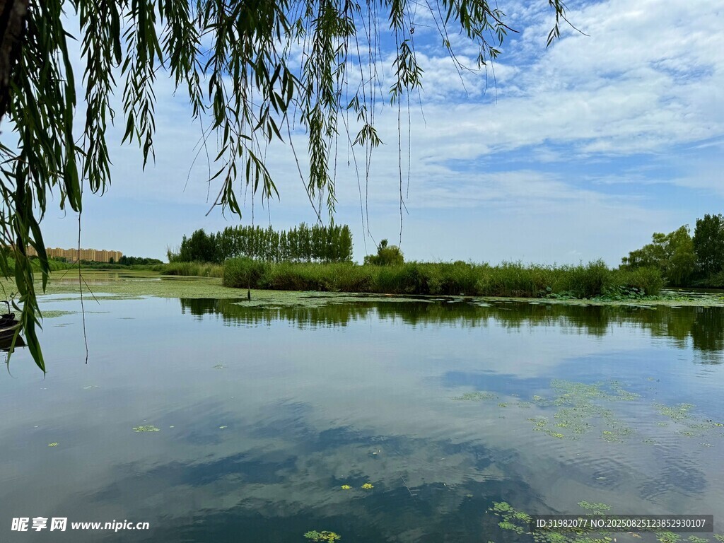 濱湖國家濕地公園