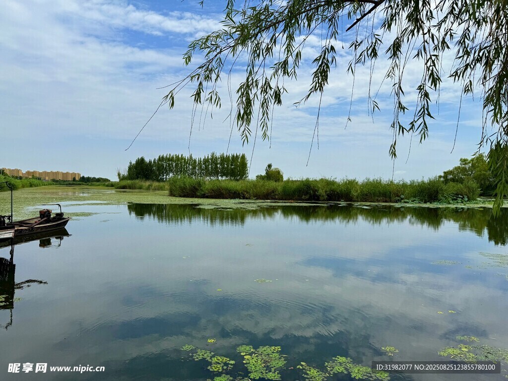 濱湖國家濕地公園